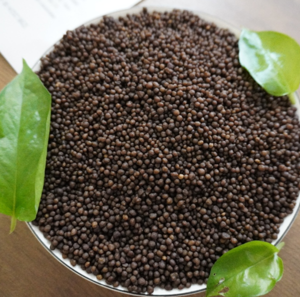 Diammonium Phosphate (DAP)